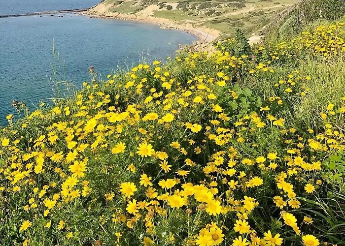 Retreat, Block B2, Unit 6 Διαμέρισμα *